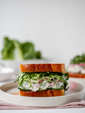 Front on shot of herb chicken salad sandwich